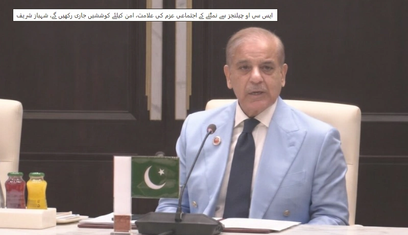 ایس سی او چیئرمین شپ میں توانائی اور آئی ٹی پاکستان کی ترجیح ہوگی: شہباز شریف